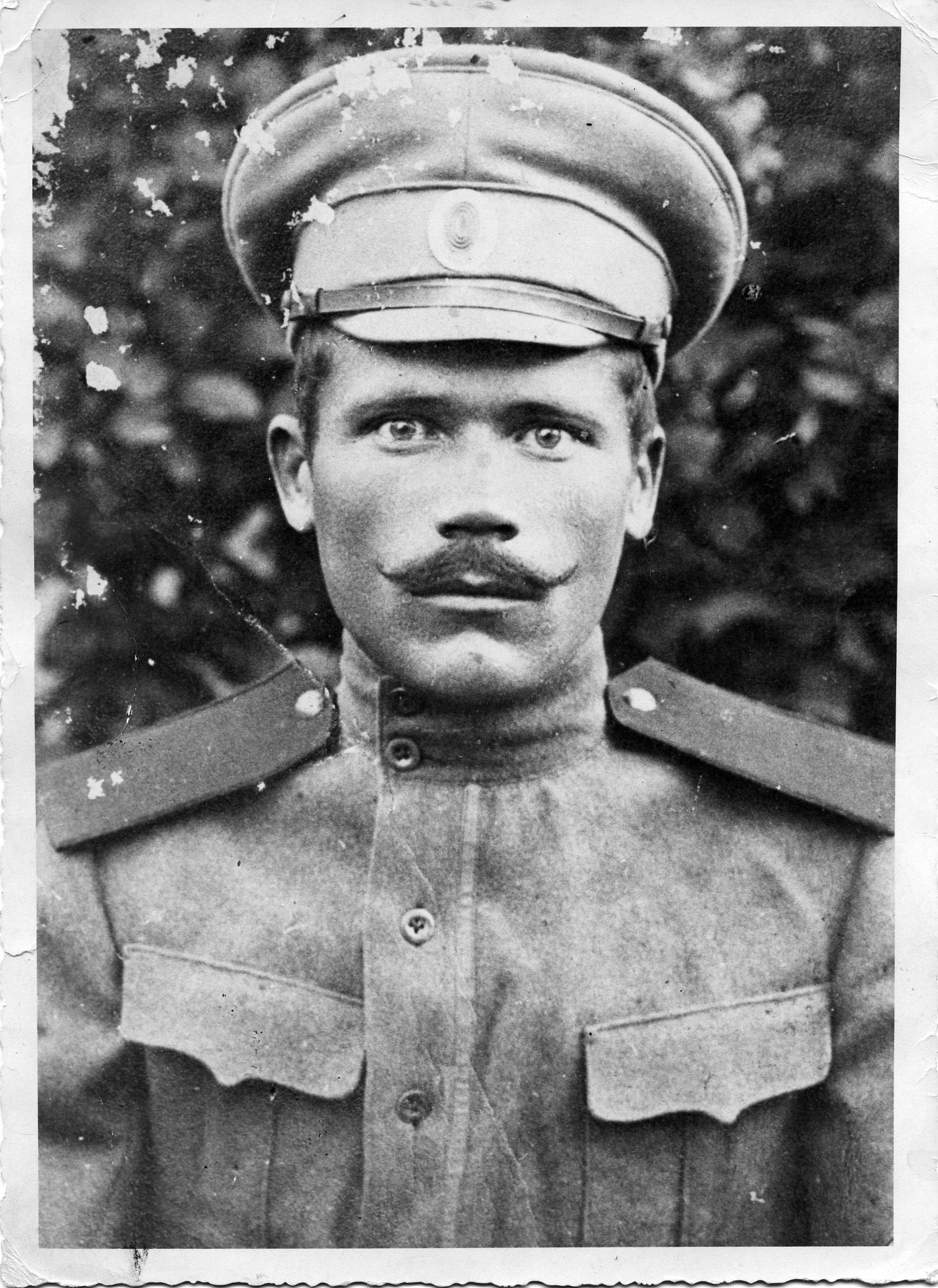 Kornienko Gt